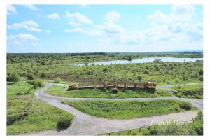 Lough Boora a couple of train and feature Images taken from Drone