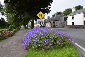 Images from Geashill Village, County Offaly
